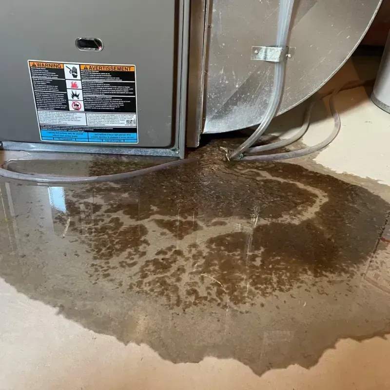 Appliance Leak Cleanup in Hornsby Bend, TX